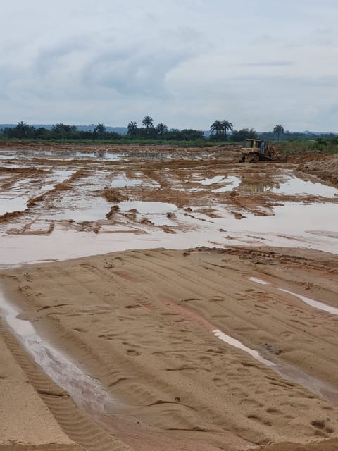 Site photo, 13 Oct 2026