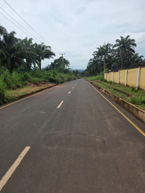 Site photo, 13 Oct 2026
