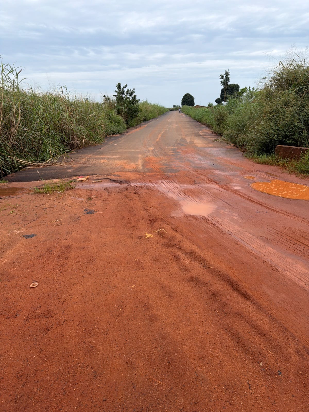 Site photo, 15 Oct 2026