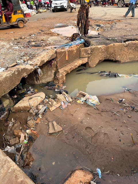 Site photo, 15 Oct 2026